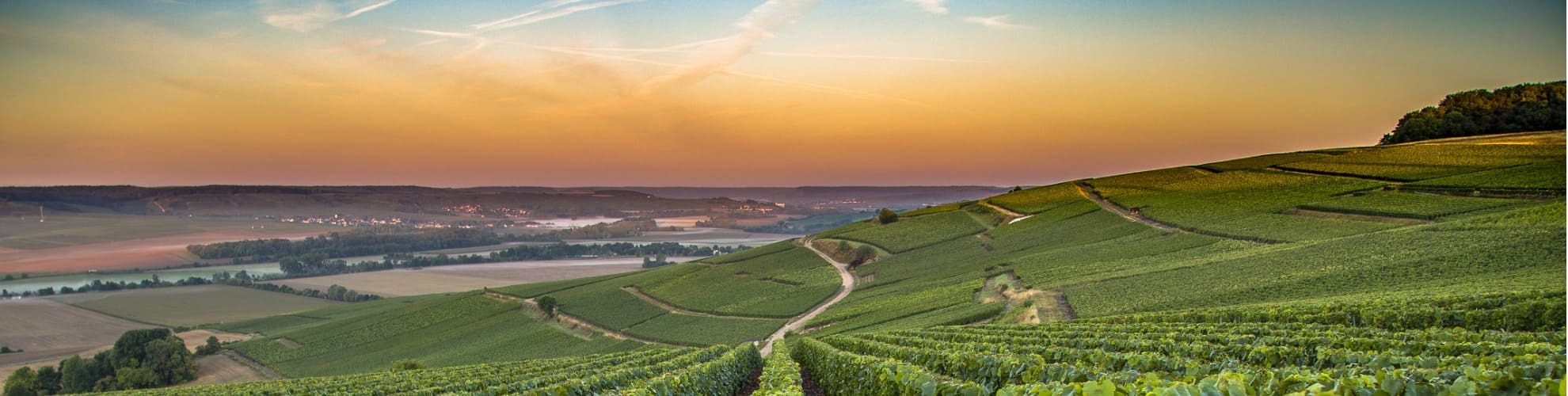 Seguro de viaje a Francia