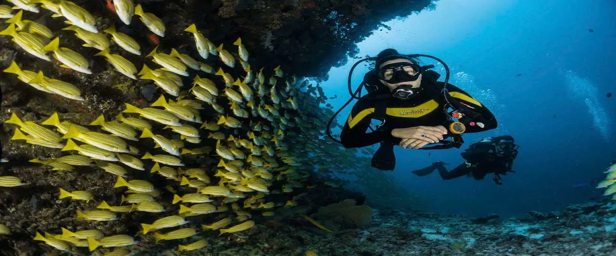 ¿Qué es el síndrome de descompresión en buceo?