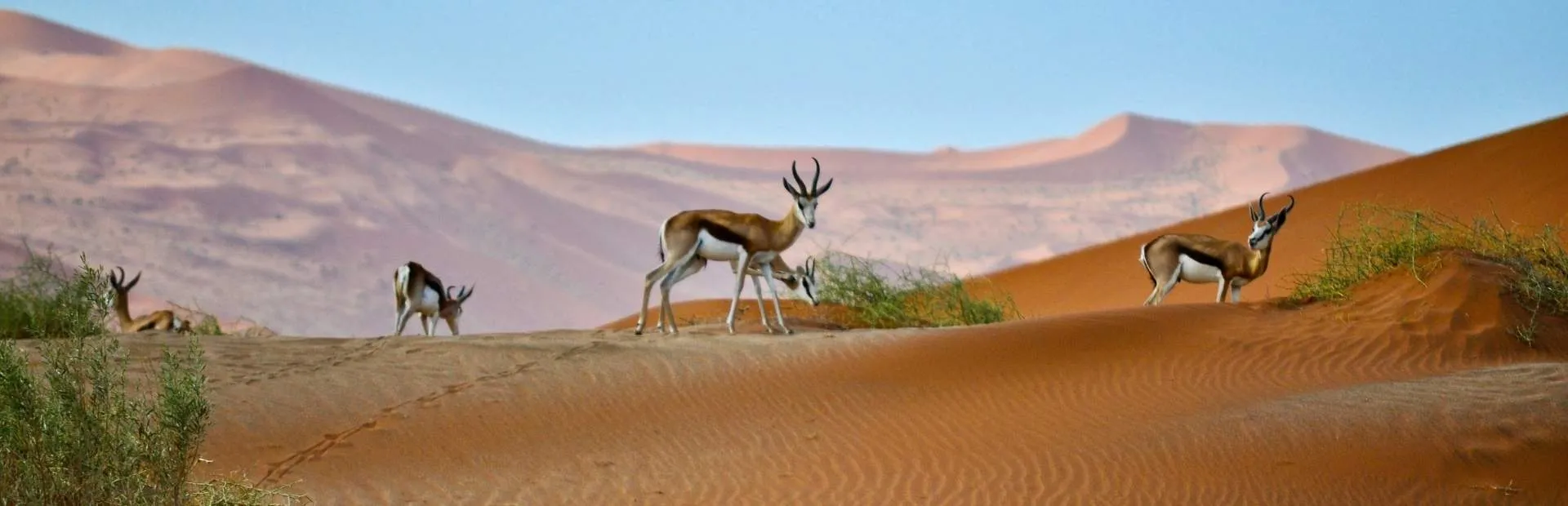Seguro de Viaje a<br> Namibia