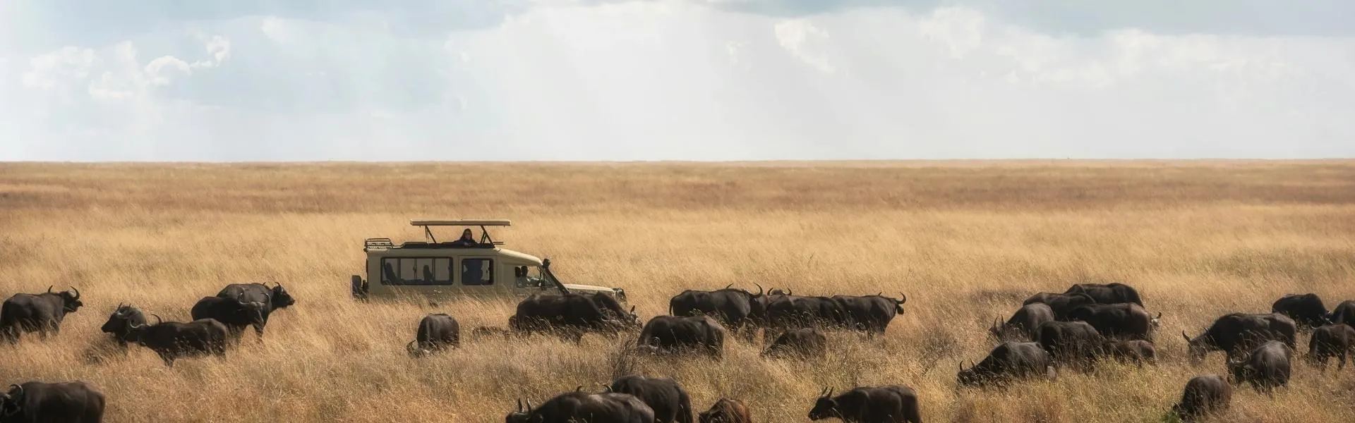 Seguro de Viaje a<br> Tanzania