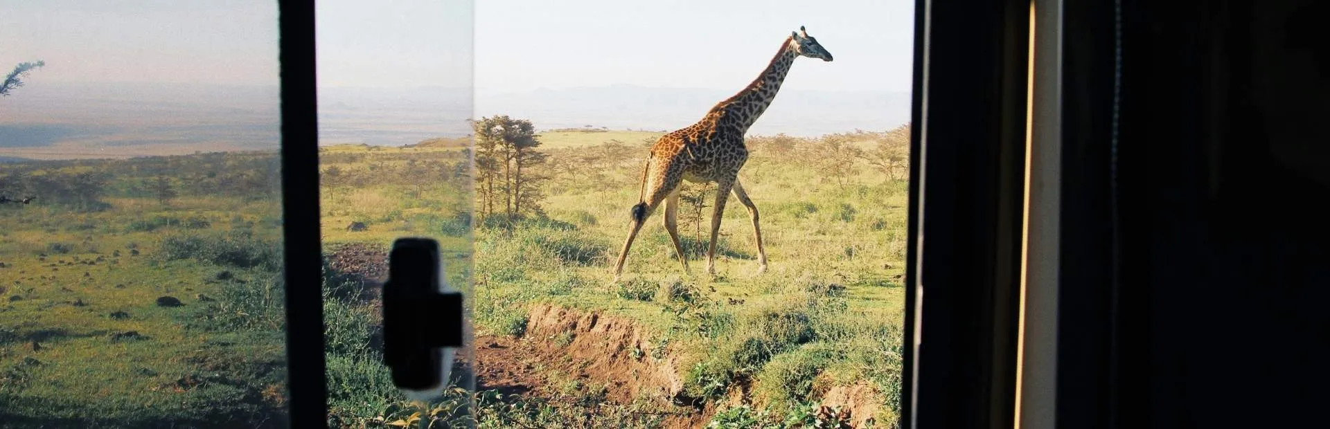 Seguro de Viaje para<br> Safari en África