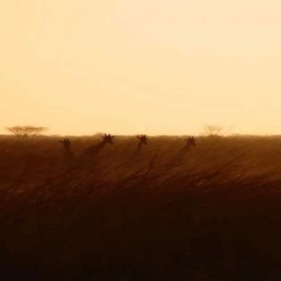 Seguro de viaje a Camerún