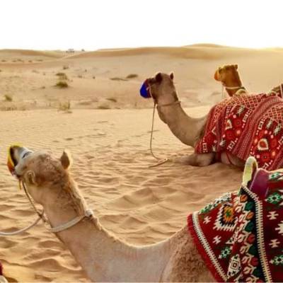 Seguro de viaje a Oriente Medio